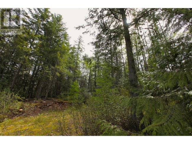 434 Lexington Ave, Home with 0 bedrooms, 0 bathrooms and null parking in Procter BC | Image 18