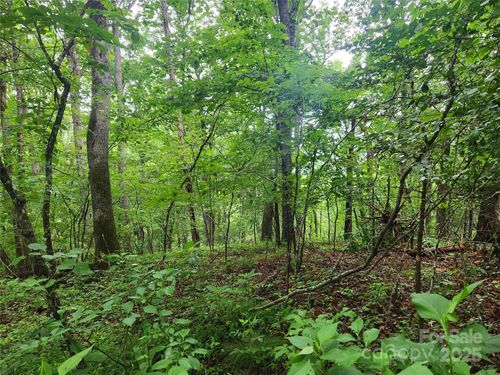 TBD Henry Worley Ln, Marshall, NC, 28753 | Card Image