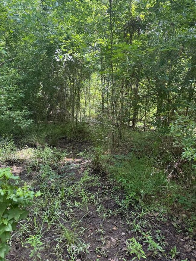 0 Paradise Point Dr, Home with 0 bedrooms, 0 bathrooms and null parking in Willis TX | Image 4