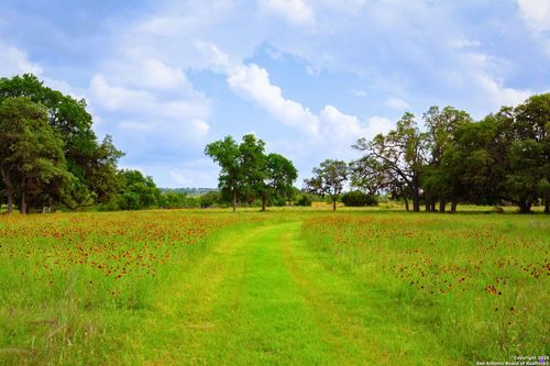 1364 N Walnut Spgs, Johnson City, TX, 78636 | Card Image