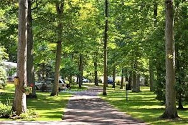 A-52 - 9910 Northville Cres, Home with 2 bedrooms, 1 bathrooms and 1 parking in Thedford ON | Image 26