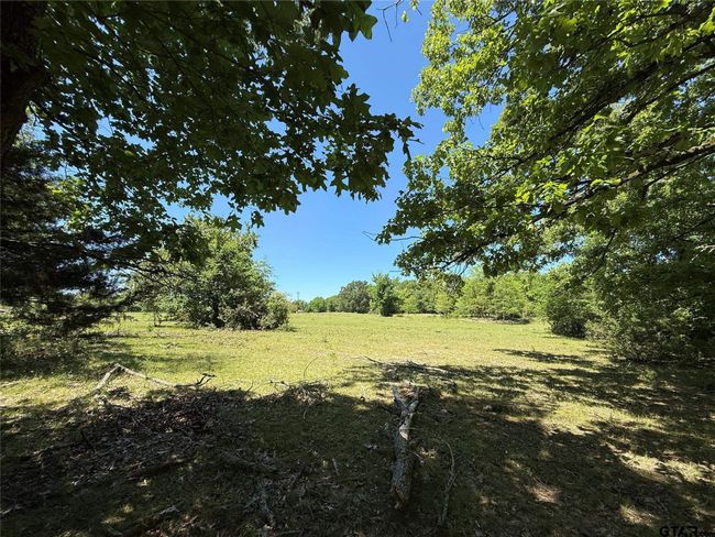 72 Acres N Farm Road 900, Home with 0 bedrooms, 0 bathrooms and null parking in Saltillo TX | Image 27