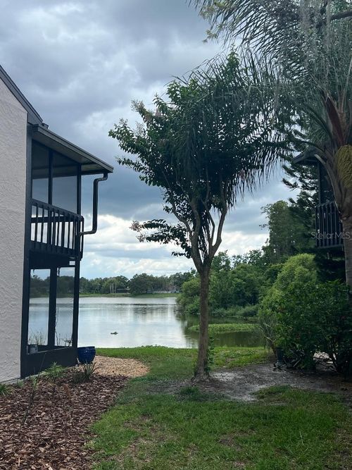 16596 Brigadoon Dr, TAMPA, FL, 33618-1048 | Card Image