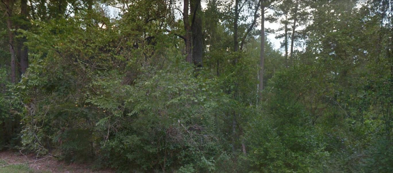 Land in New Caney 3
