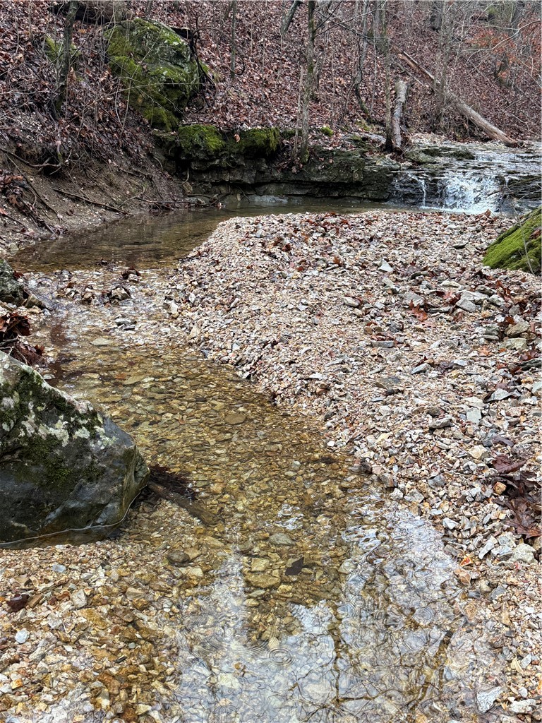 Land in Eureka Springs 4