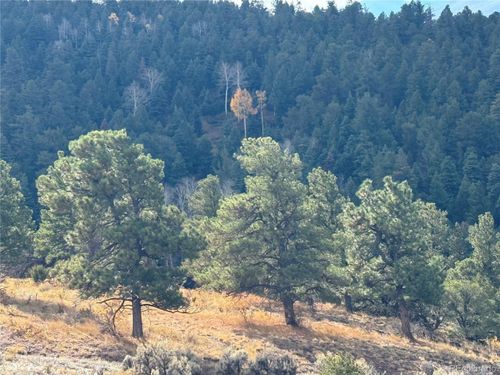 284 Borman Dr, Fort Garland, CO, 81133-8902 | Card Image