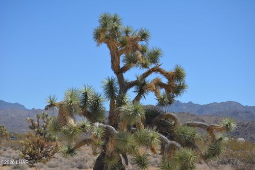 11872 S Date Creek Rd, Yucca, AZ, 86438 | Card Image