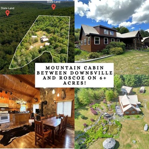 588 Buck Mountain Rd, Downsville, NY, 13755-3442 | Card Image