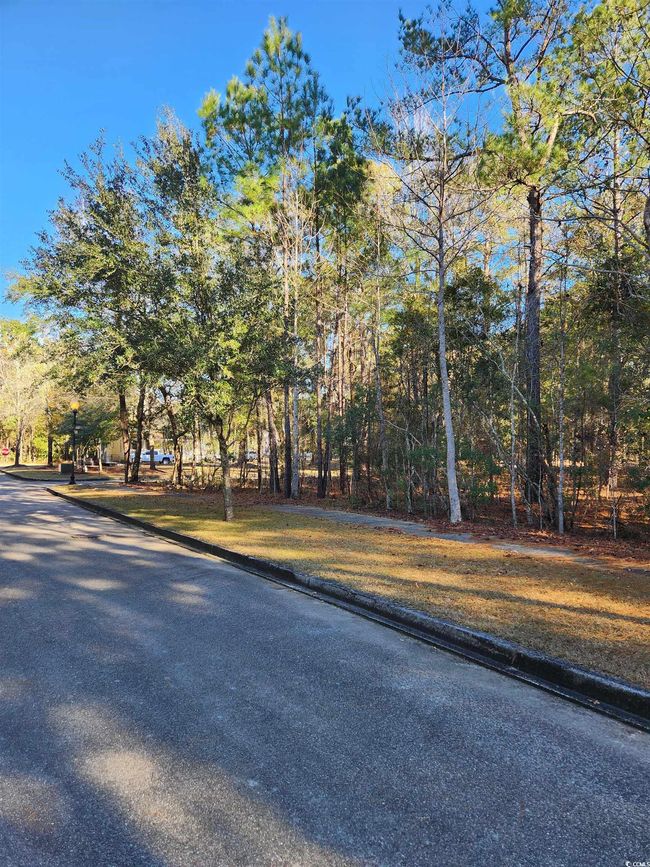 20 Serenity Park Ln, Home with 0 bedrooms, 0 bathrooms and null parking in Georgetown SC | Image 24