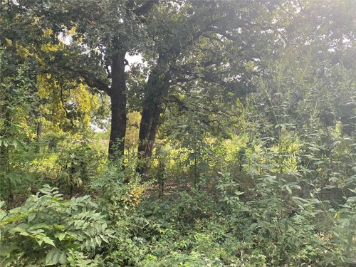 TBD LOT 4 AND 5 Goldwater, Kemp, TX, 75143 | Card Image