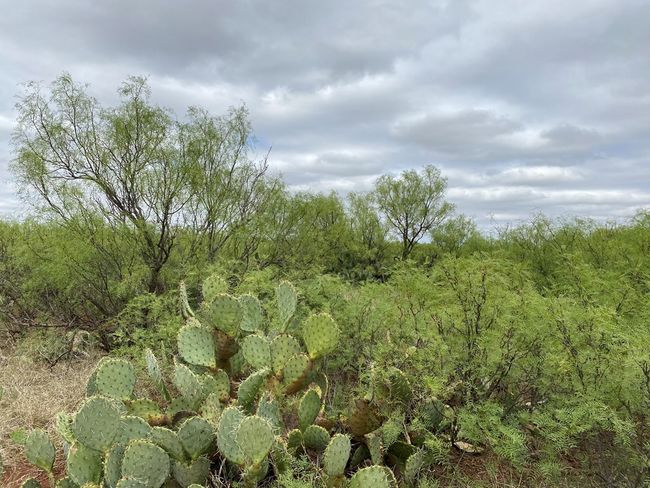 000 W Interstate 20, Home with 0 bedrooms, 0 bathrooms and null parking in Westbrook TX | Image 19