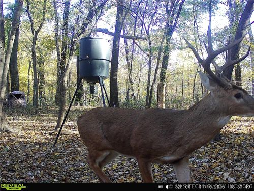 101555 S 4590 Loop, Vian, OK, 74962-3026 | Card Image