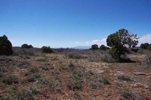 TBDWP Secret Canyon, Dove Creek, CO, 81324 | Card Image
