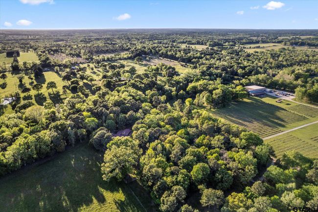 660 County Road 1334, Home with 4 bedrooms, 3 bathrooms and null parking in Pittsburg TX | Image 18