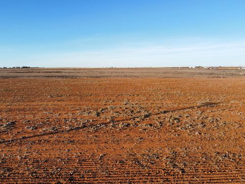 6699 Tiger Rd, Ropesville, TX, 79358-5403 | Card Image