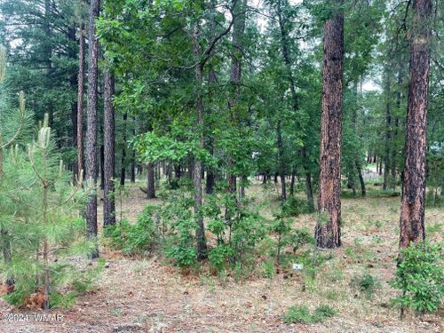 lot-45-alpine-forest-est-45 County Rd. 2190, Alpine, AZ, 85920 | Card Image