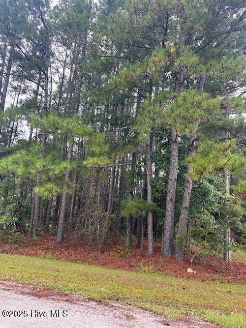 101-1530 E Northwind Dr Sw, Ocean Isle Beach, NC, 28469-5548 | Card Image