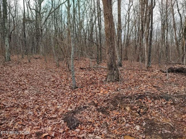 75 Renegade Mountain Pkwy, Home with 0 bedrooms, 0 bathrooms and null parking in Crab Orchard TN | Image 11
