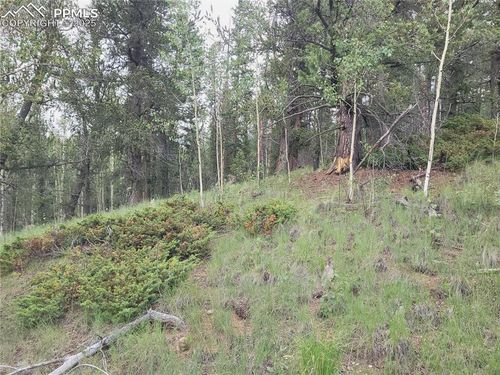 2455 Yorktown Dr, Cripple Creek, CO, 80813 | Card Image