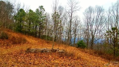 Coming up the mountain, you are about half way through here... if you go to the left, you can ride over to a great homesite, that is where the pano pics are taken that are on this listing. | Image 3