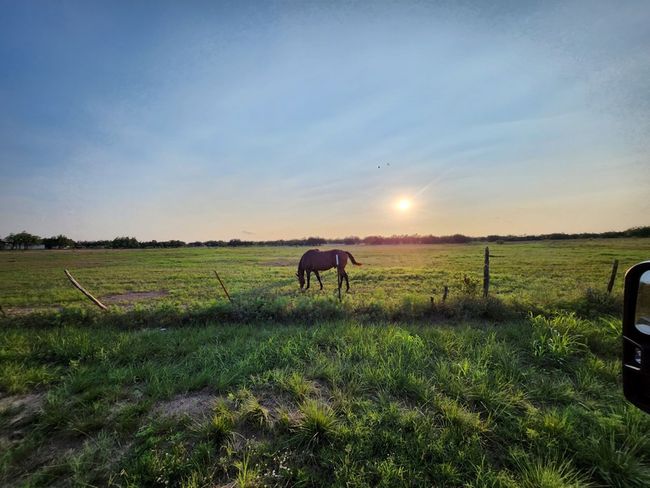 9286 County Road 2335, House other with 3 bedrooms, 2 bathrooms and 2 parking in Menard TX | Image 10