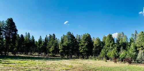 9592 Sierra Springs Dr, Pinetop, AZ, 85935-8883 | Card Image