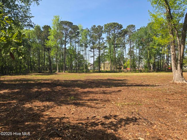 1254 Shenandoah St, Home with 0 bedrooms, 0 bathrooms and null parking in Wilmington NC | Image 13