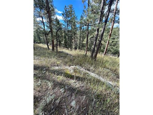 5233 S Road A, Evergreen, CO, 80439-5756 | Card Image