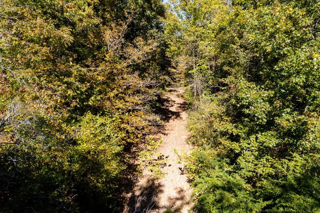 61243 Stone Cave Loop, Home with 0 bedrooms, 0 bathrooms and null parking in Dunlap TN | Image 24
