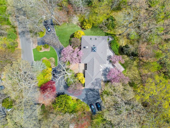 Bird's eye view | Image 43
