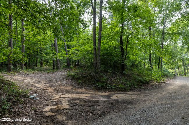 7 Vanmeter Cemetery Rd, Home with 0 bedrooms, 0 bathrooms and null parking in Bee Spring KY | Image 6