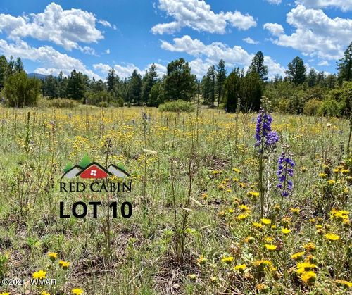 Lot 10 Red Cabin Ranch, Vernon, AZ, 85940 | Card Image