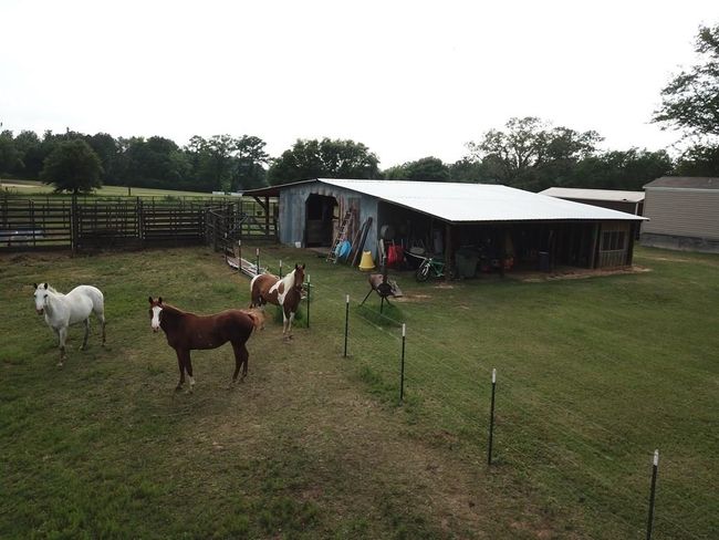 2416 State Highway 87 N, House other with 3 bedrooms, 2 bathrooms and null parking in Newton TX | Image 31