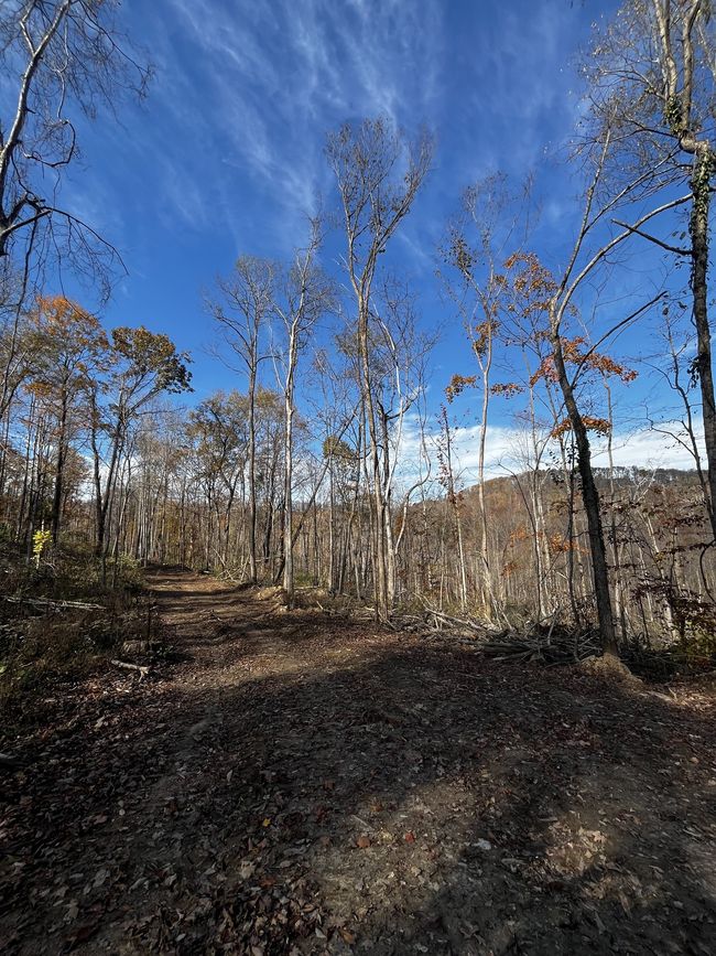 0 Northcutts Cove Rd, Home with 0 bedrooms, 0 bathrooms and null parking in Beersheba Springs TN | Image 19