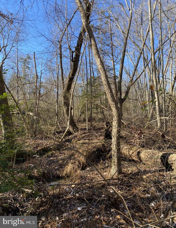 Land in LOUISA