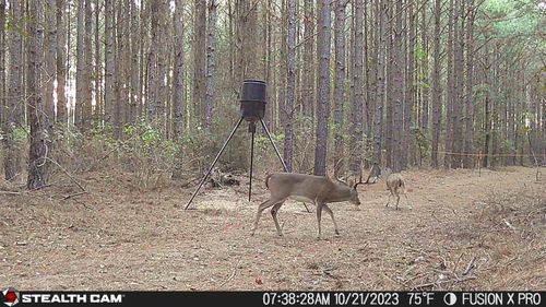 350 Williamson Way, Lovelady, TX, 75851 | Card Image