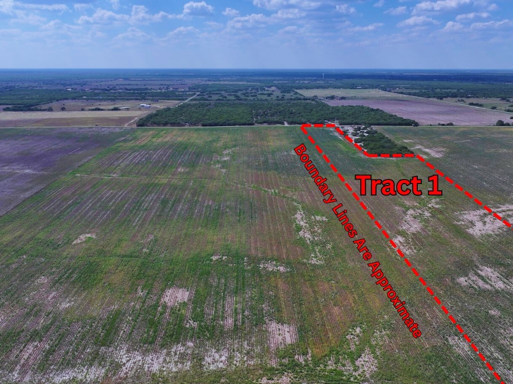 Land in Kingsville 2