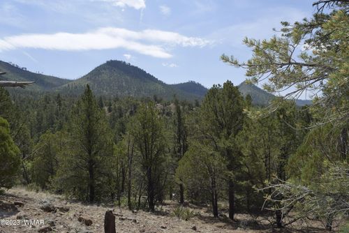 TBD County Road 2276, Nutrioso, AZ, 85932 | Card Image