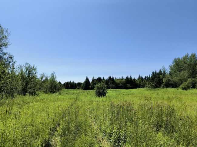 16499 Hwy 45, Home with 0 bedrooms, 0 bathrooms and null parking in Bruce Crossing MI | Image 17