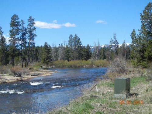 536 Gold Fork Rd, Donnelly, ID, 83615-7707 | Card Image