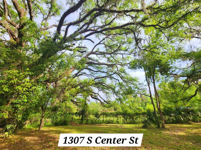 2 - 1124 S Orange St, Home with 0 bedrooms, 0 bathrooms and null parking in Perry FL | Image 22