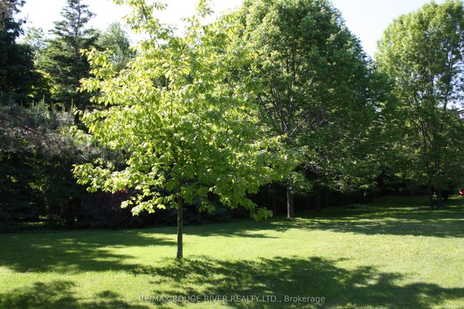 412 Barnum House Rd, House other with 2 bedrooms, 2 bathrooms and 6 parking in Grafton ON | Image 40