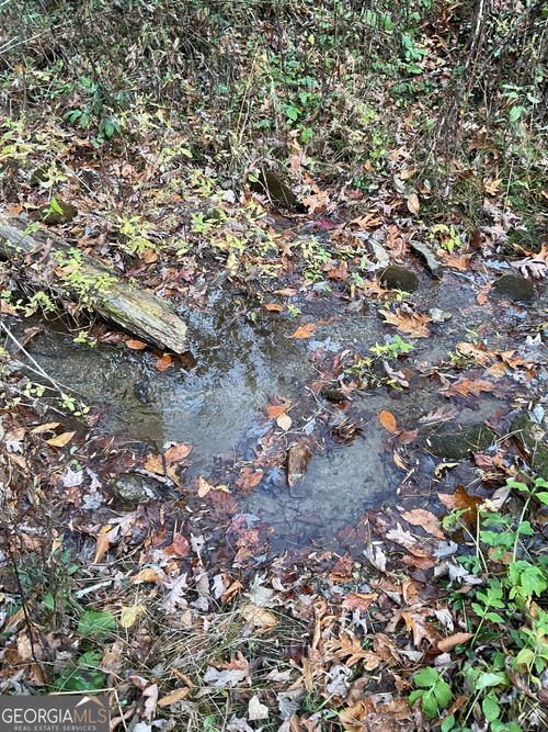 0 Big Creek Rd, Otto, NC, 28763 | Card Image