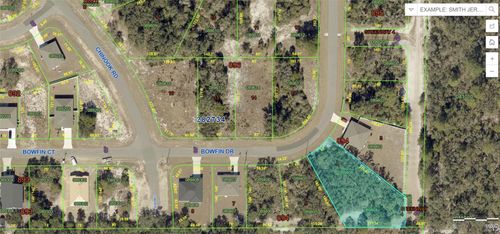 317 Bowfin Dr, KISSIMMEE, FL, 34759-4679 | Card Image