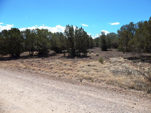8337 Navajo Dr, Show Low, AZ, 85901 | Card Image