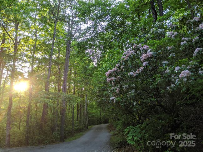 Subdivision road | Image 38