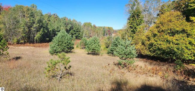40 Acres Truesdale Road, Home with 0 bedrooms, 0 bathrooms and null parking in Manton MI | Image 8