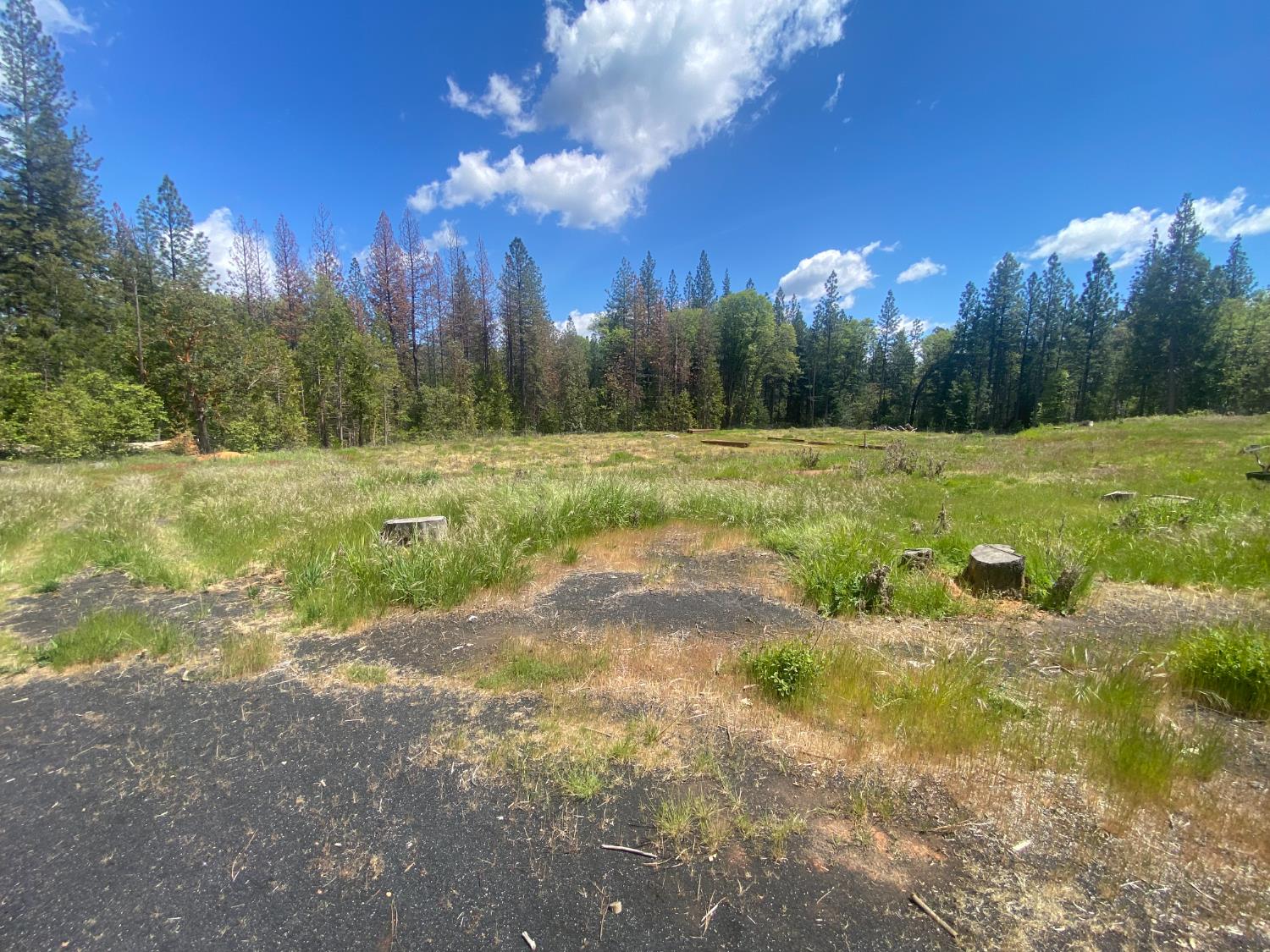 Land in Nevada City 4