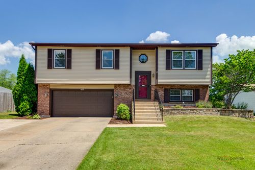417 Pheasant Ridge Ct, Lindenhurst, IL, 60046-8508 | Card Image