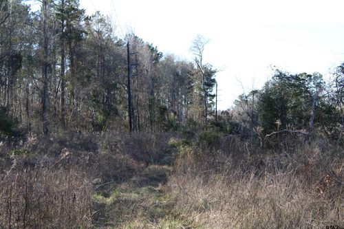 TBD Cr 1627- 10 Acres, Rusk, TX, 75785 | Card Image